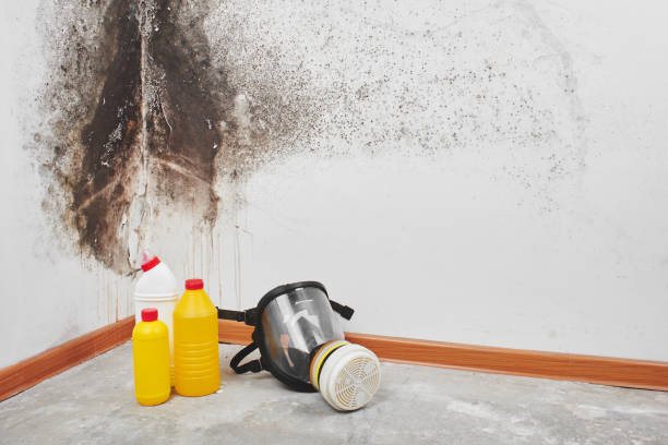 Best Residential Mold Removal  in Glade Spring, VA