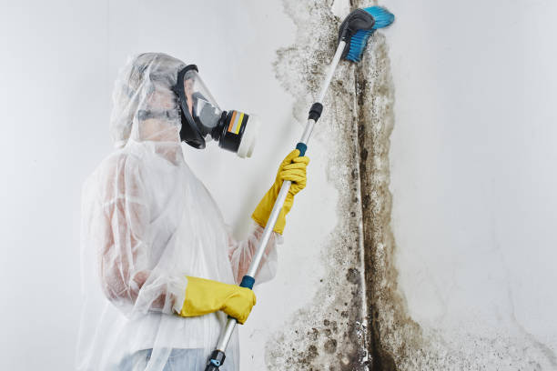 Crawl Space Mold Removal in Glade Spring, VA