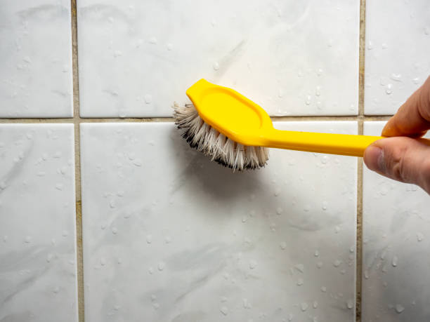 Best Certified Mold Removal  in Glade Spring, VA