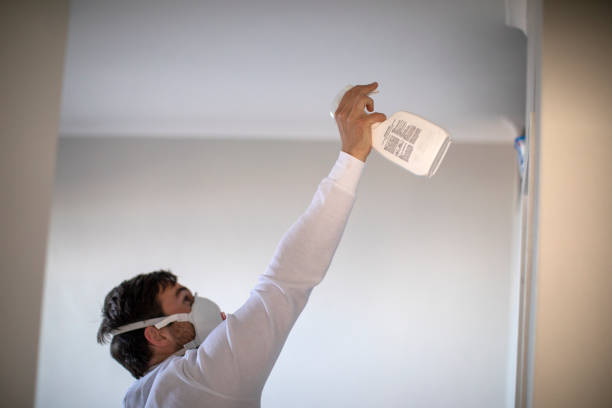 Best Certified Mold Removal  in Glade Spring, VA