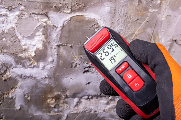 Best Mold Removal Company Near Me  in Glade Spring, VA