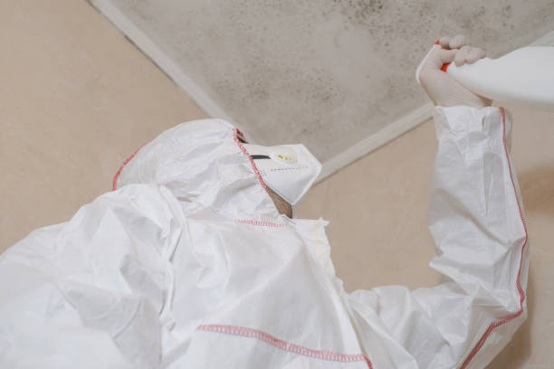 Best Mold Removal Process  in Glade Spring, VA