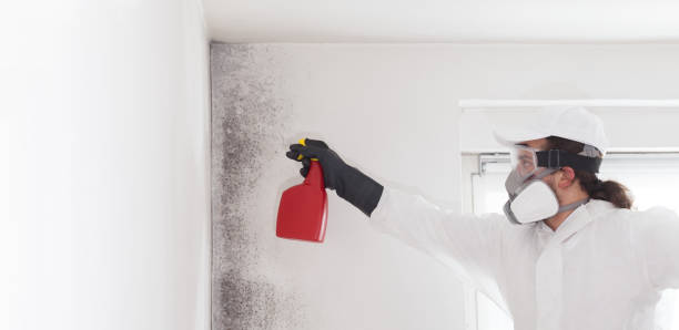 Best Mold Testing  in Glade Spring, VA