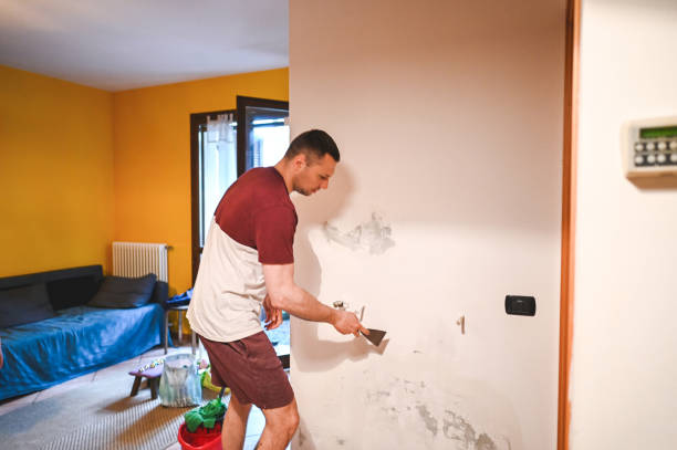 Best Mold Cleaning Services  in Glade Spring, VA