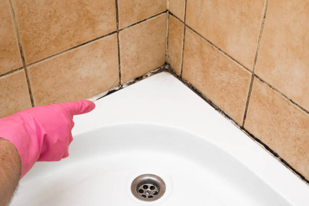 Best Emergency Mold Removal  in Glade Spring, VA